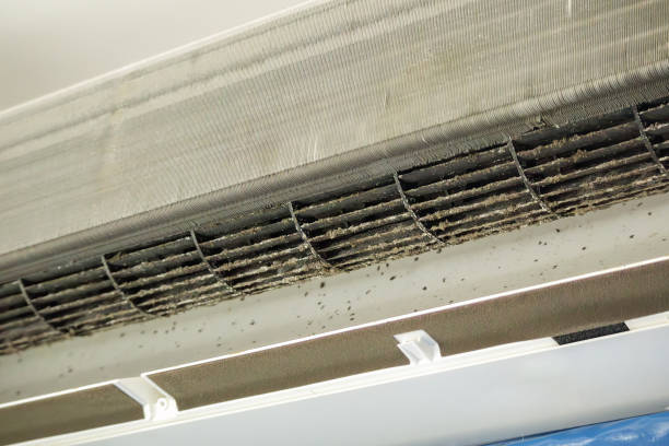 Trusted Mapleton, ND Airduct Cleaning Experts